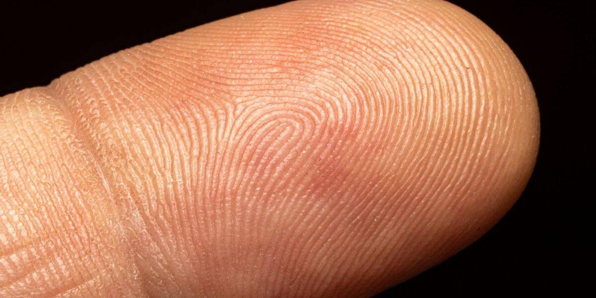 El Riesgo de las "selfies" después de votar 65a0252ae01ae