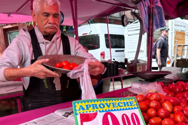 El impacto de la economía informal en México Imagen página web