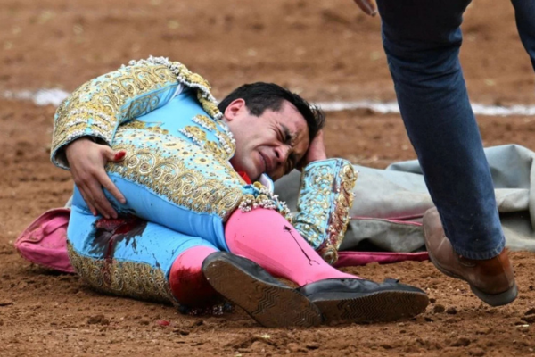 El matador sufrió una herida severa en la zona rectal