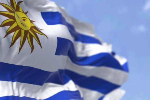 Uruguay busca frenar rechazo internacional a su pasaporte Imagen página web