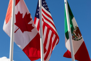 El T-MEC (Tratado entre México, Estados Unidos y Canadá)