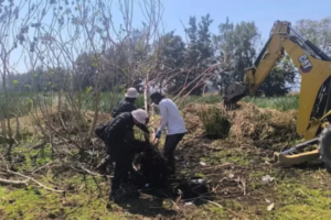 Hallan más de 200 restos humanos en Tláhuac y Chalco