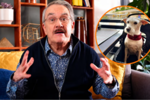 Pedro Sola desata polémica por comentarios sobre perros