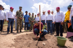Tamaulipas suma 15,400 árboles a jornada nacional