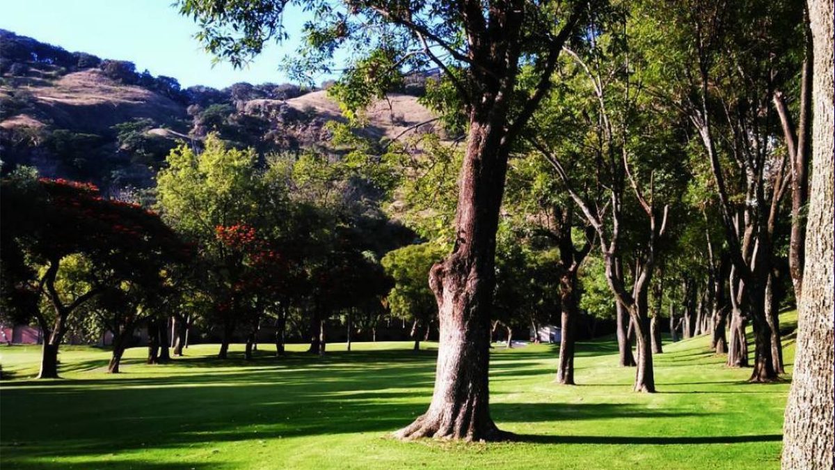 Campo de golf ilustrativo en el debate por agua en San Miguel de Allende