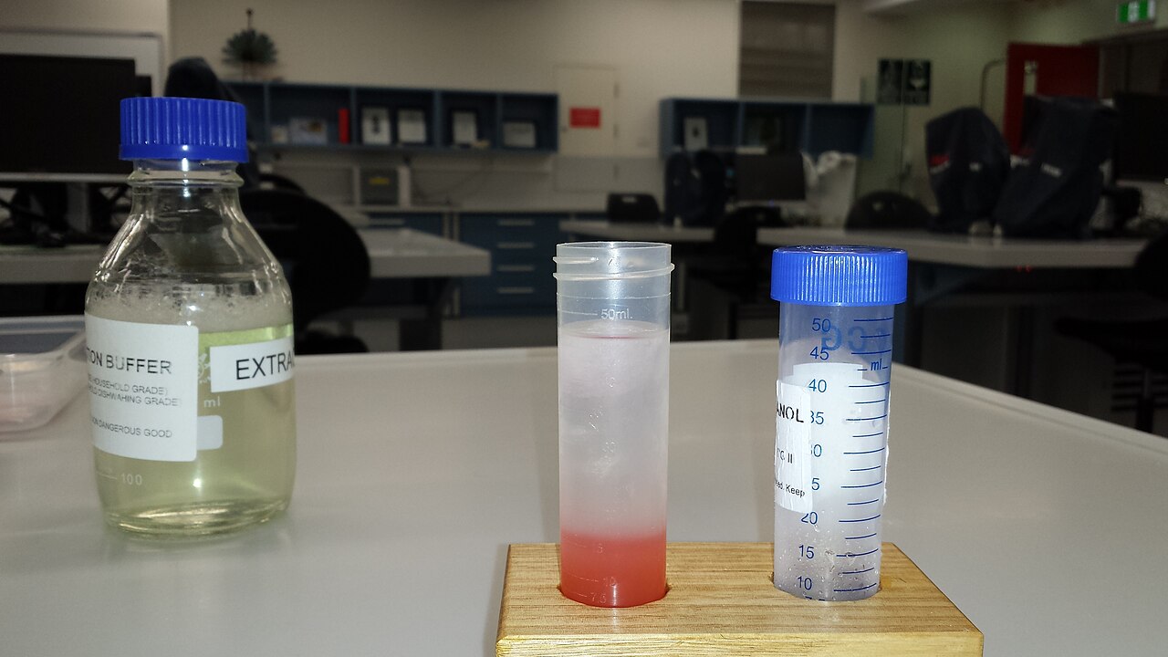 Frascos y tubos con sustancias químicas sobre una mesa de laboratorio