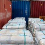 Cargamento de dextrosa anhidra inmovilizado por autoridades en Manzanillo
