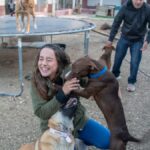 Ley de bienestar animal avanza; presupuesto queda pendiente Voluntarios conviven con perros en un refugio de animales