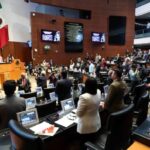 Senado exige primeros auxilios en cuidados infantiles Pleno del Senado durante la aprobación de capacitación en primeros auxilios