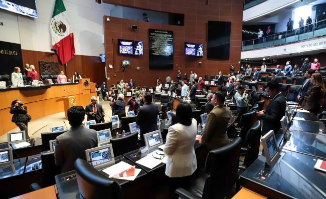 Pleno del Senado durante la aprobación de capacitación en primeros auxilios