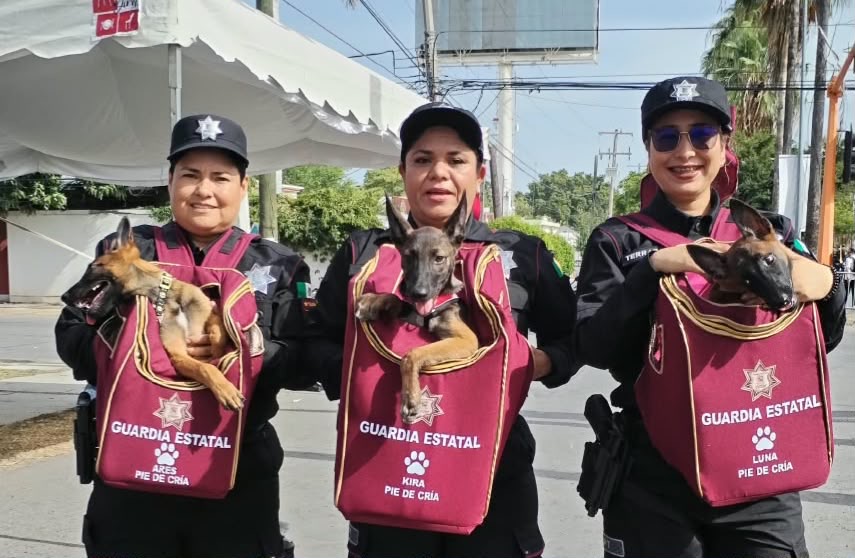 Elementos de proximidad de la Guardia Estatal de Tamaulipas con perros rescatados