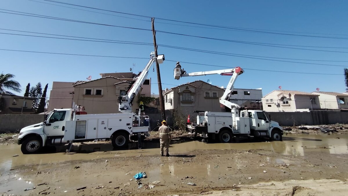 Trabajadores y vehículos de CFE atienden una línea eléctrica en una zona residencial