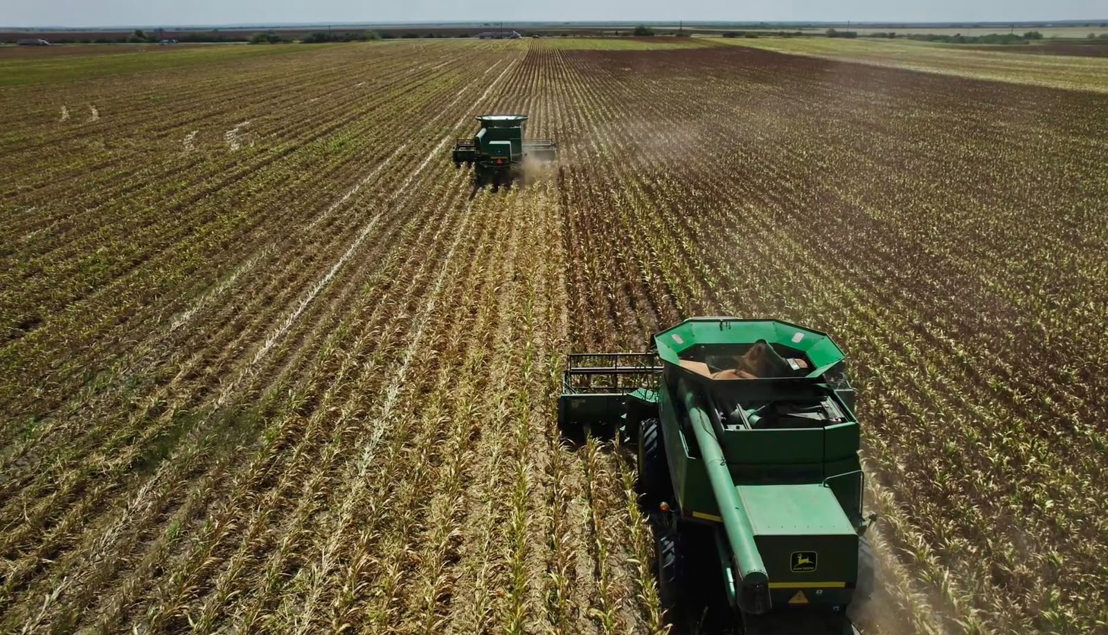 Cosecha agrícola en la región de Río Bravo, Tamaulipas