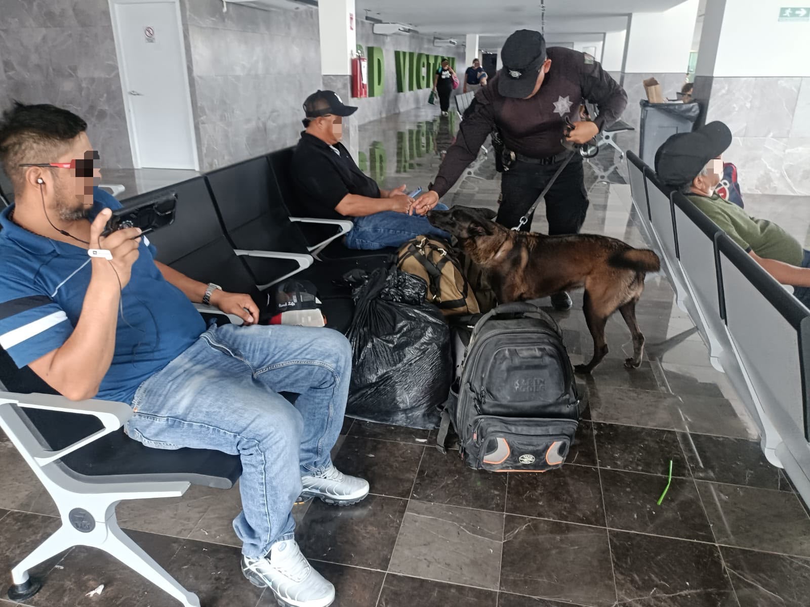 Elementos de seguridad realizan una revisión preventiva con binomios caninos