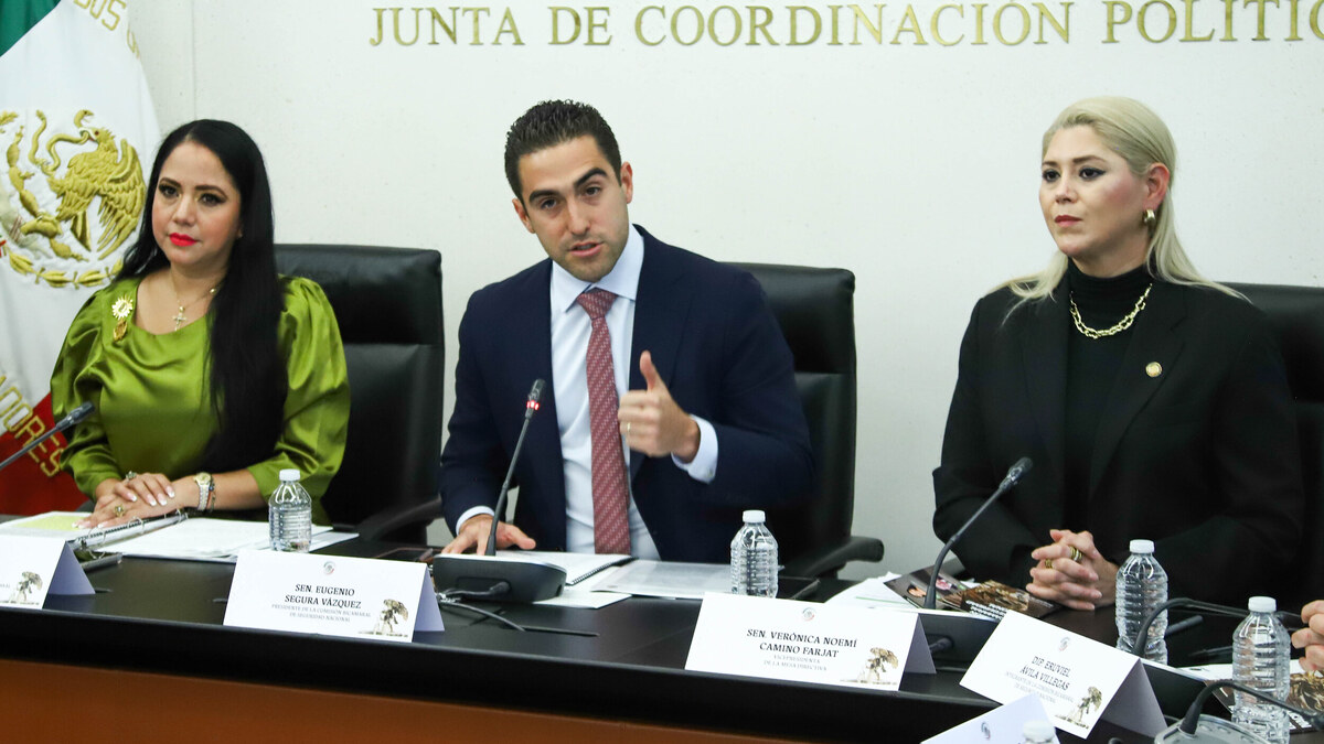 Eugenio Segura, al centro, interviene en la instalación de la Comisión Bicamaral de Seguridad Nacional, junio de 2026