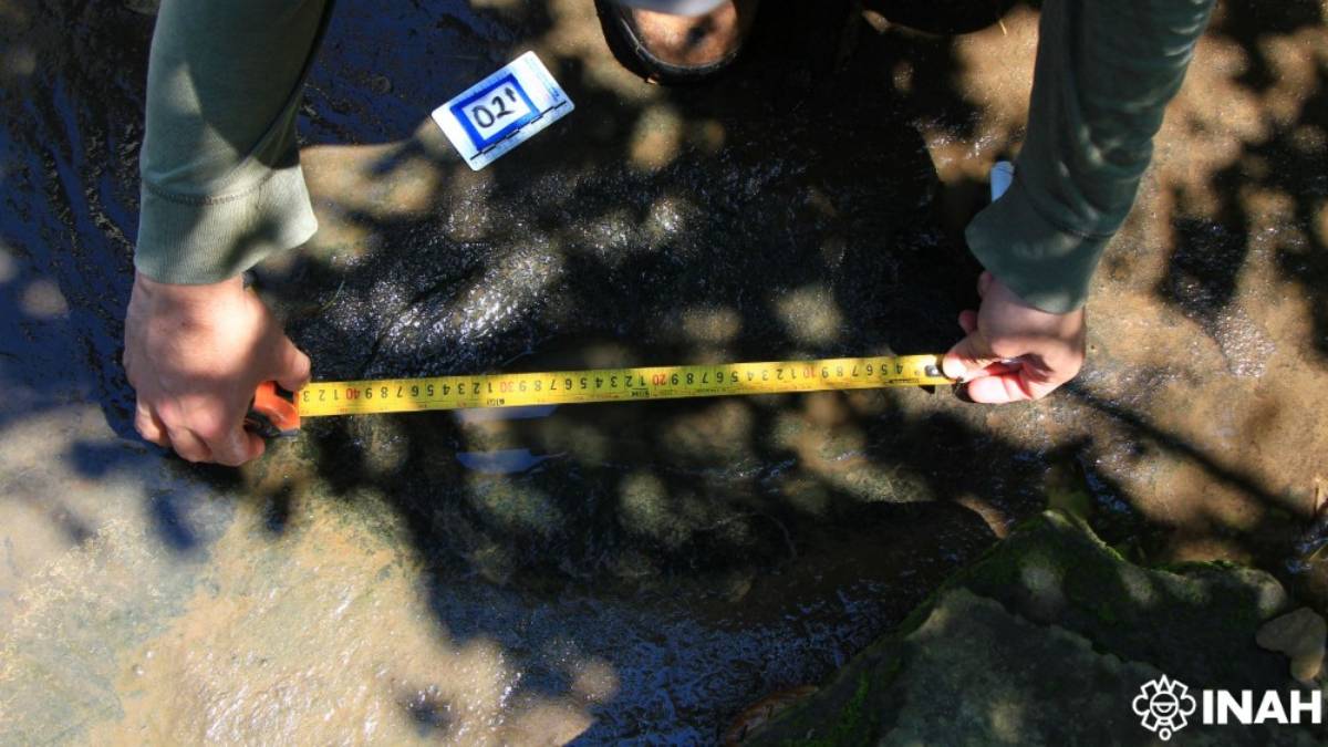 Medición de una huella fósil en San Juan de los Plátanos, Apatzingán