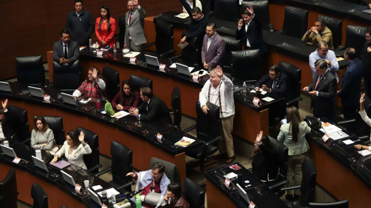 Senadores durante la votación de la reforma llamada Ley Antimemes