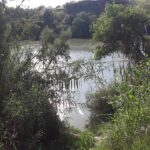 Operaciones espejo movilizan 659 efectivos en la frontera Río Grande entre Laredo, Texas, y Nuevo Laredo, Tamaulipas, en la frontera México-Estados Unidos