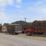 Vehículos pesados exportan más, pero venta interna cae 17.5% Fila de camiones pesados de carga en San Luis Potosí, México