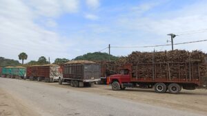 Vehículos pesados exportan más, pero venta interna cae 17.5%
