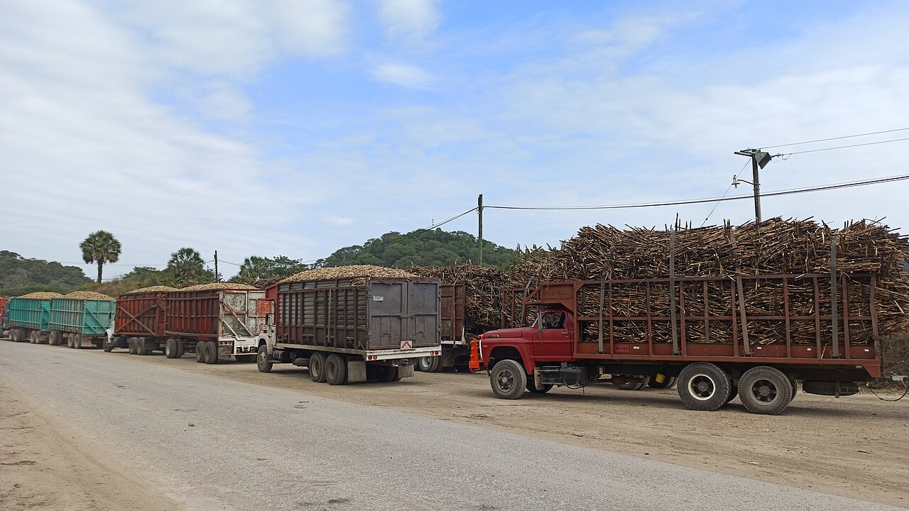 Fila de camiones pesados de carga en San Luis Potosí, México
